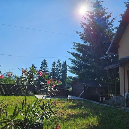 Pensiunea Maros Izvoru Mureşului Exterior foto